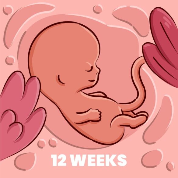 Ձեր հղիության 12-րդ շաբաթը